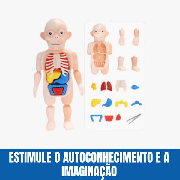 Brinquedo Educativo Crizz™ - Anatomia do Corpo Humano