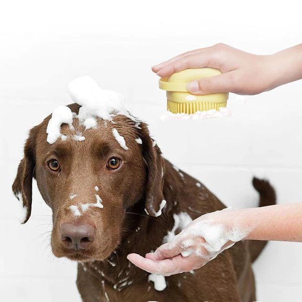 Escova de Banho para Pet - CleanPet - [08 Unidades com essa PROMO] - Decristian 