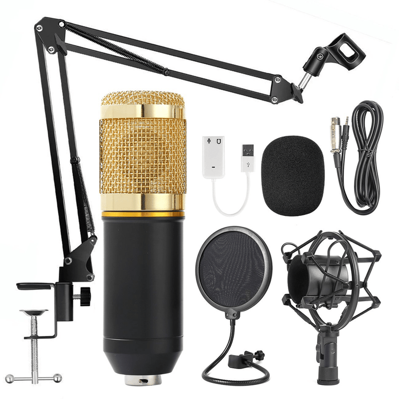 Microfone Estúdio Profissional Pop Filter Com Braço Articulado - Crizz™ - Decristian